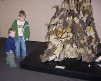 Dayton Art Institute.JPG